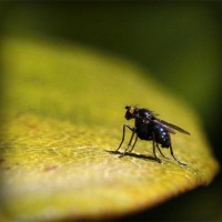 /album/links4u/photolia-a07-jpg/